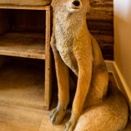 Fuchsbau *