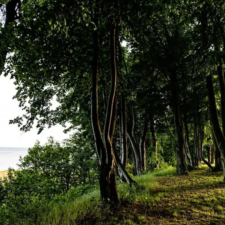 Holiday home Luxusferienhaus Fuchsbau - Mit Netflix, Playstation, Sauna, Sportraum Und Kamin